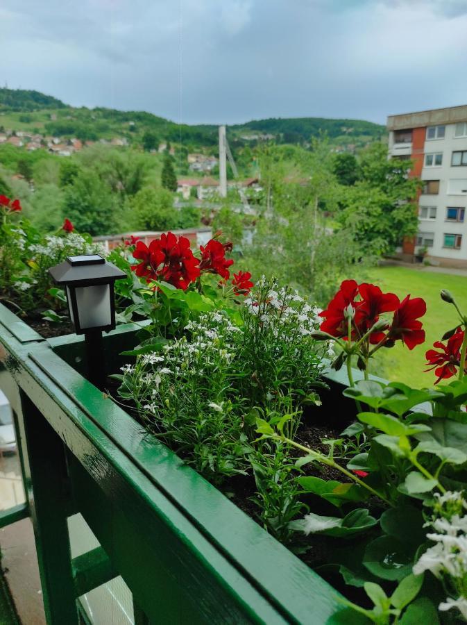 Perfect Place วิโซโค ภายนอก รูปภาพ